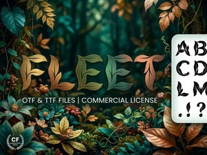 Fleet Font: Modern Typography for Creative Projects